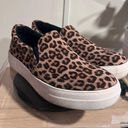 Soda Cheetah Print Shoes Photo 1