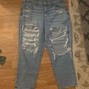 American Eagle AE Mom Jean Size 16 Photo 0