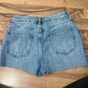 PacSun Jean Shorts Photo 2