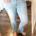 CAbi  designer size 8 light wash distressed jeans Photo 0