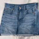 American Eagle Outfitters Shorts Photo 0