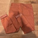 REWASH  Rust Brown Skinny Jeans Photo 1