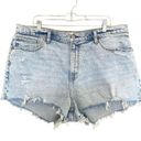 Abercrombie & Fitch  the Mom Short High Rise Curve Love Denim Photo 1