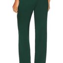 ANINE BING Classic Pant In Emerald Silk Photo 2