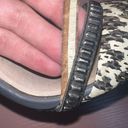 L.A.M.B. Fernley Black/White Snake-print Stilettos Photo 1