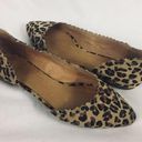 Jack Rogers  | flats cheetah print pointy toe 7.5 Photo 0