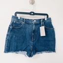 Everlane Denim Jean Shorts NWT - Size 31 Photo 0