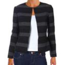 Tahari  Arthur S. Levine Plus Striped Blazer C11 Photo 7