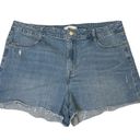 Nine West denim shorts size 18 Photo 2