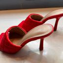 Wild Diva Lounge Red Heels Photo 1