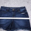 Lane Bryant  Girlfriend Jean Shorts Blue Women's Size 14 Frayed Raw Hem Stretch Photo 10