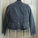 American Eagle  Outfitters Gray Bomber Jacket Gray Size XS Quilted Lining Photo 3