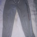 American Eagle Outfitters Sweatpants Photo 0