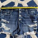 American Eagle Outfitters Denim Shorts Photo 3