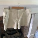 Lane Bryant  Cream Colored Chino Shorts Plus Size 24 Business Casual Curvy Photo 2