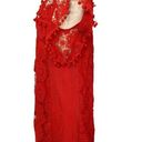 Tularosa  Red Lace Crochet Pom Pom Detail Shift Cocktail Dress Size S NEW w Tags Photo 10