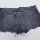 RVCA  Denim Shorts Photo 2