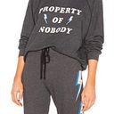 Wildfox  Property of Nobody Graphic Grey Pullover Sweatshirt set! xs Photo 1