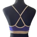 Champion  blue and gray sports bra Size: Large Photo 1