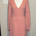 Alexis  Ellena Shift Dress in Ash Pink NWT Size Small Photo 6