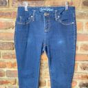 Faded Glory  Dark Wash Blue Denim Skinny Jegging Jeans Women's Size 6P Petite Photo 2