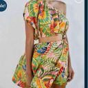 Farm Rio  Macaw Leaves One-Shoulder Cut-Out Minidress XS Multicolor Summer Dress Photo 1