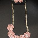 Nicole Miller  3 D Floral Blush Necklace & Earrings Photo 0