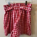 HYFVE Gingham Paperbag Shorts Photo 1