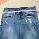 Wild Fable : High-Rise Distressed Skinny Jean Photo 5