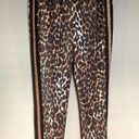 Pam & Gela  Leopard Leggings gold racer / tuxedo stripe Photo 5