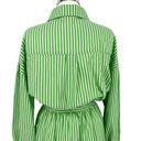 Cinq à Sept  Kelly Striped Shirt Dress Ruffle Hem and Belt Green White Size 14 Photo 6