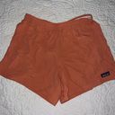 Patagonia Baggies™ Shorts Photo 0