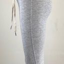 n:philanthropy n.philanthropy Gray Maxwell Jogger Size Small  Photo 7