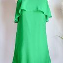 Alice + Olivia , New, Etta Kelly Green Ruffle Slip Dress, Size Small Photo 0