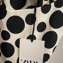 ZARA Polka Dot Dress Photo 1