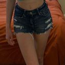 American Eagle Outfitters Shorts Photo 3