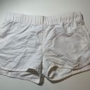 Full Tilt white nylon shorts Photo 0