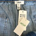 Aerie Stretch Jean Shorts Photo 4