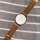 Gold Cluse Watch Photo 2