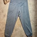 Ralph Lauren Polo  Fleece Track Sweatpants Photo 7