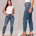 Abercrombie & Fitch  Curve Love High Rise Mom Jean Straight Leg Distressed Size 8 Photo 1