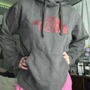 The North Face Grey Hoodie Photo 0