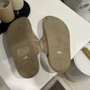 American Eagle Buckle Sandals Photo 1