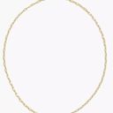 Madewell New Delicate Collection Demi-Fine Paperclip Chain Photo 0