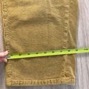 Pilcro  Tan Corduroy Slim Boyfriend Crop Pants - Size 22W Photo 7