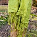 Apple Green 100% Rayon Scarf With Fringe Photo 2