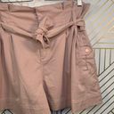 Topshop  Utility Paperbag Shorts in Nude Beige Photo 4