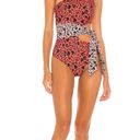 Beach Riot One Piece Leopard Swim Photo 0