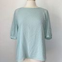 Calvin Klein Solid Pastel Blue Swiss Dot Silver Metallic Chiffon Short Sleeve Blouse Photo 0