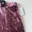 Abound Nordstrom Velvet Mini Skirt Plus Size 2X Plum Purple Crushed split side Photo 2